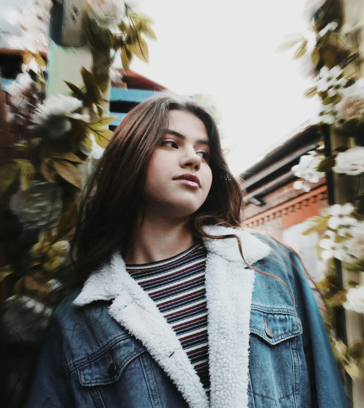 giovanna knollseisen